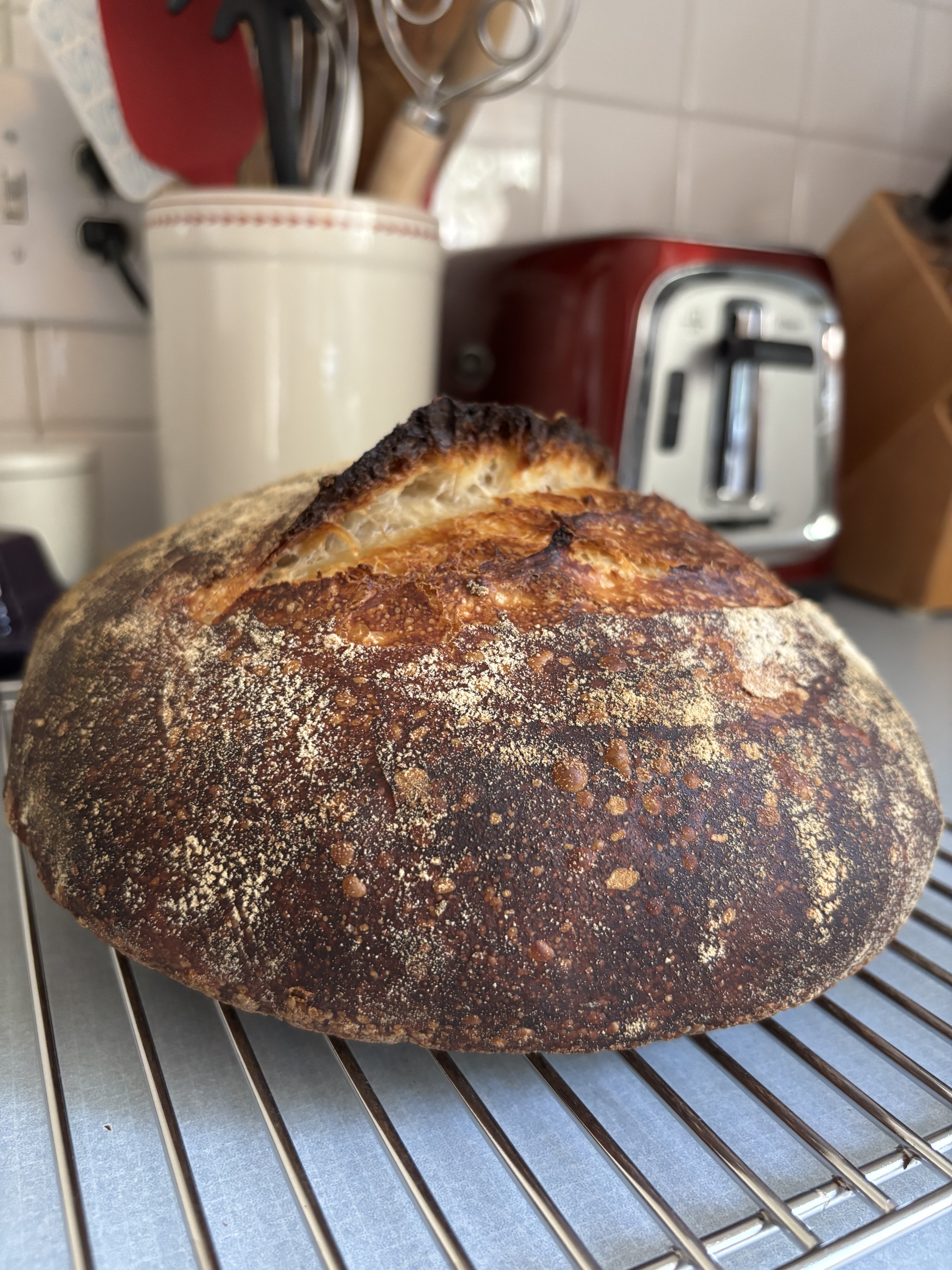 Sourdough Boule!